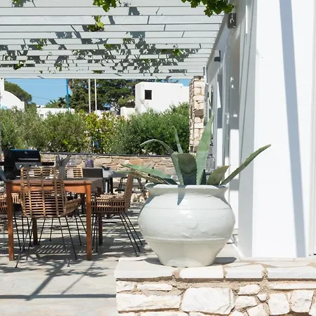 Navi A1 Brand New In