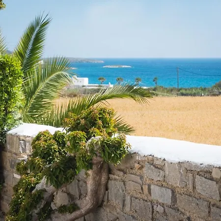 Lejlighed Navi A1 Brand New In